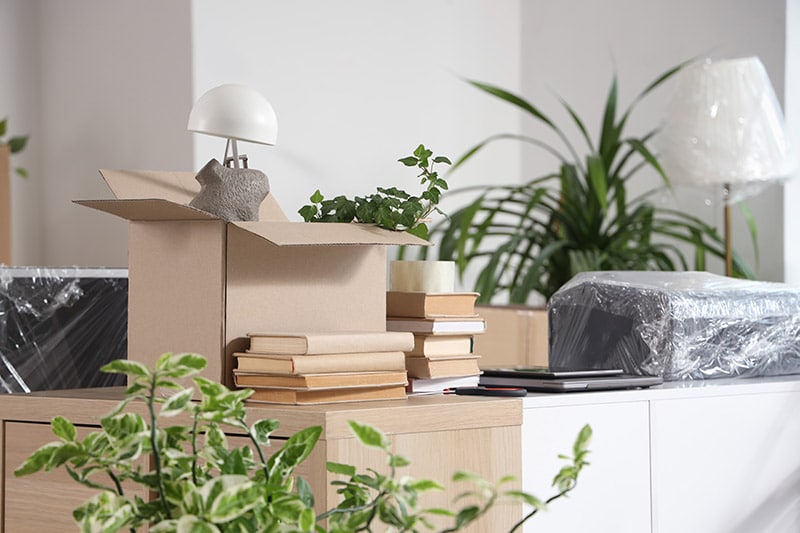Storage unit with moving boxes and elegant decor inside